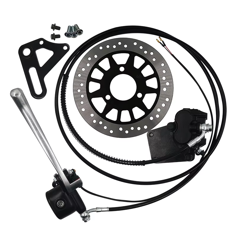 QS273 13インチ 8000W 72V 120KMH イ - Qs273 Hub Motor 8000W 72V のレビューと価格